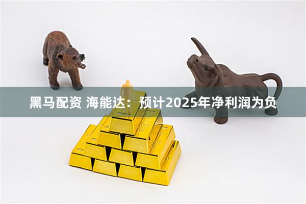 黑马配资 海能达：预计2025年净利润为负