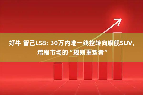 好牛 智己LS8: 30万内唯一线控转向旗舰SUV, 增程市场的“规则重塑者”